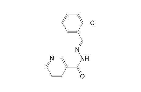 nicotinic acid, (o-chlorobenzylidene)hydrazide