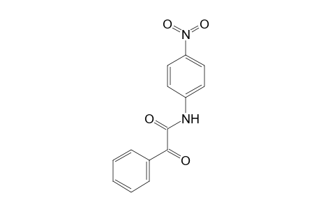 N-(4-Nitro-phenyl)-2-oxo-2-phenyl-acetamide