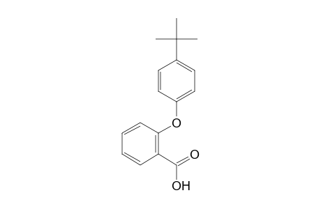 2-(4-tert-Butylphenoxy)benzoic acid