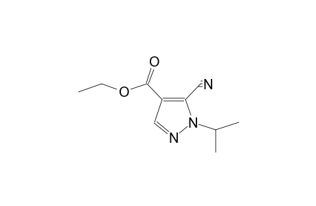 5-cyano-1-isopropyl-pyrazole-4-carboxylic acid ethyl ester