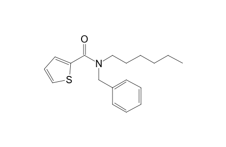 Thiophene-2-carboxamide, N-benzyl-N-hexyl-