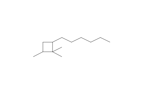 2-Hexyl-1,1,4-trimethylcyclobutane