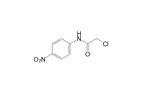 2-chloro-4'-nitroacetanilide
