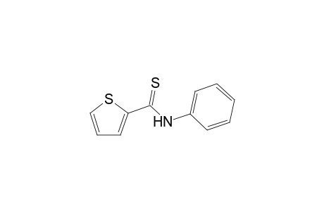 2-Thiophenecarbothioamide, N-phenyl-