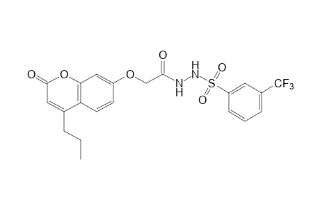 1-{[(2-oxo-4-propyl-2H-1-benzopyran-7-yl)oxy]acetyl}-2-[(alpha,alpha,alpha-trifluoro-m-tolyl)sulfonyl]hydrazine