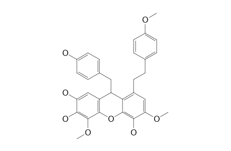 DENDROCANDIN-G