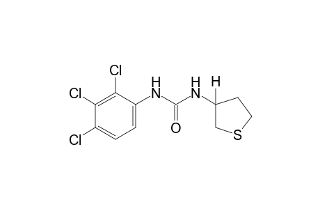 1-(tetrahydro-3-thienyl)-3-(2,3,4-trichlorophenyl)urea