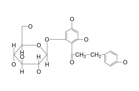 Phlorizin