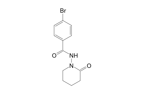 4-Bromo-N-(2-oxopiperidin-1-yl)benzamide