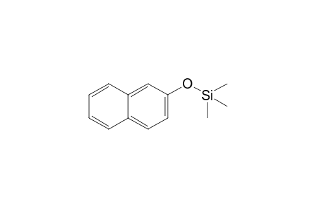 Silane, trimethyl(2-naphthalenyloxy)-