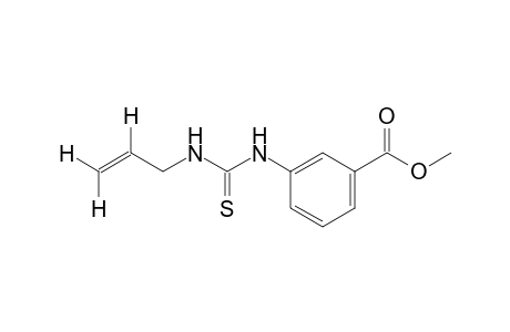 m-(3-allyl-2-thioureido)benzoic acid, methyl ester