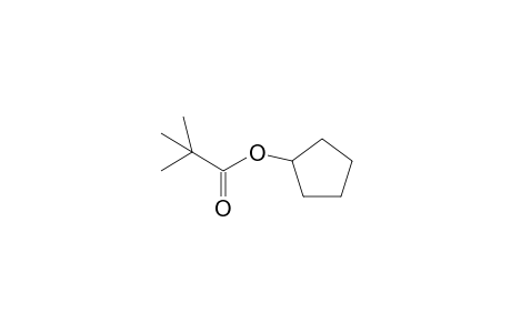 2,2-Dimethylpropionic acid, cyclopentyl ester