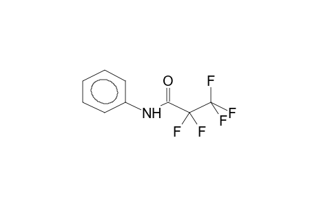 2,2,3,3,3-pentafluoro-N-phenylpropanamide