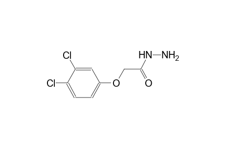 2-(3,4-dichlorophenoxy)acetohydrazide