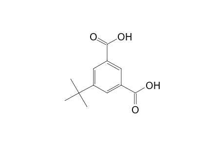 5-tert-BUTYLISOPHTHALIC ACID