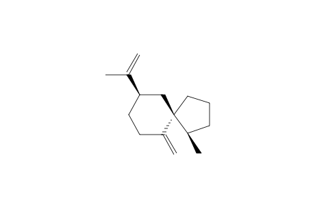 SPIROLEPECHINENE;(-)-(1R,5S,9R)-1-METHYL-6-METHYLENE-9-(1-METHYLENE)-SPIRO-[4.5]-DECANE