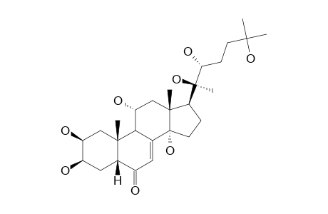 TURKESTERONE