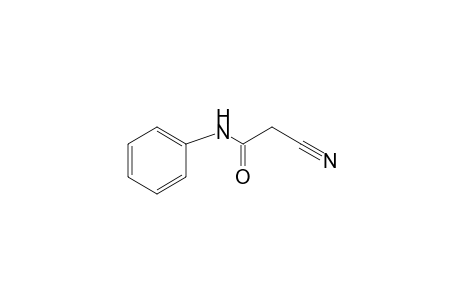 2-cyanoacetanilide