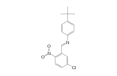 p-tert-butyl-N-(5-chloro-2-nitrobenzylidene)aniline