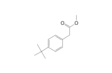 Methyl (4-tert-butylphenyl)acetate