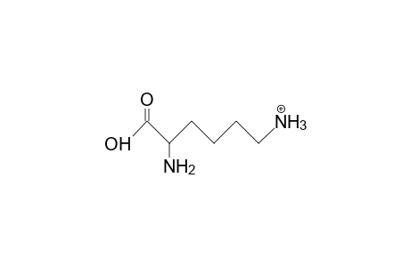 Lysine cation