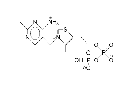 Thiaminecocarboxylase