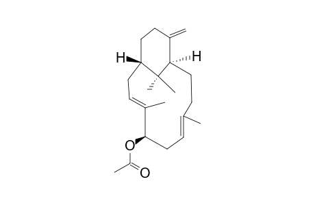 ENT-12-ALPHA-ACETOXYVERTICILLA-4-(18),9,13-TRIENE