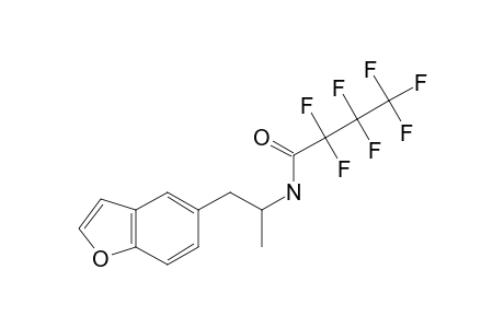 5-APB HFB