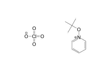 Pyridinium, 1-tert-butoxy-, perchlorate