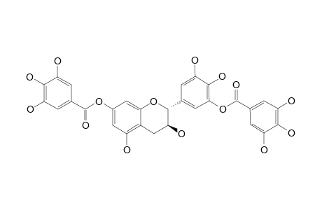 GALLOCATECHIN-7,3'-OR-7,4'-O-GALLATE