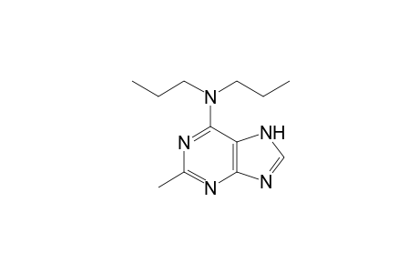 N,N-dipropyl-2-methyladenine
