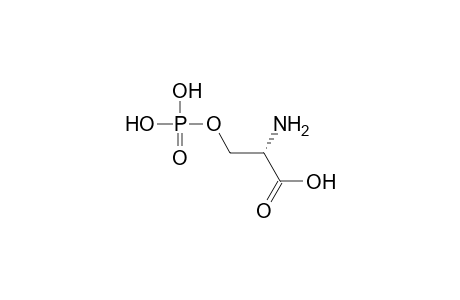 O-Phospho-L-serine