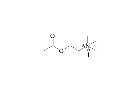 N-(2-Hydroxyphenyl)acetamide