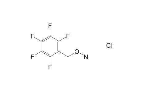 O-(2,3,4,5,6-Pentafluorobenzyl)hydroxylamine hydrochloride