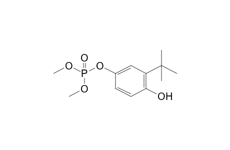 Phosphoric acid, 3-(1,1-dimethylethyl)-4-hydroxyphenyl dimethyl ester