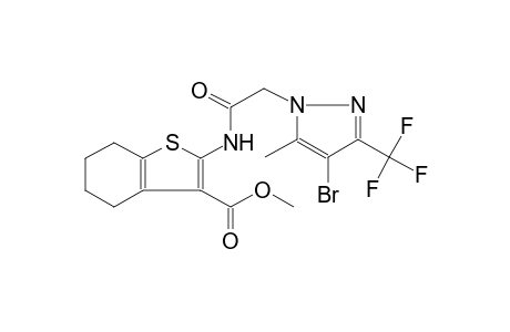 methyl 2-({[4-bromo-5-methyl-3-(trifluoromethyl)-1H-pyrazol-1-yl]acetyl}amino)-4,5,6,7-tetrahydro-1-benzothiophene-3-carboxylate