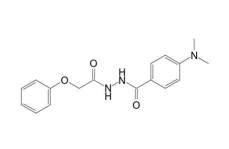 1-[p-(dimethylamino)benzoyl]-2-(phenoxyacetyl)hydrazine