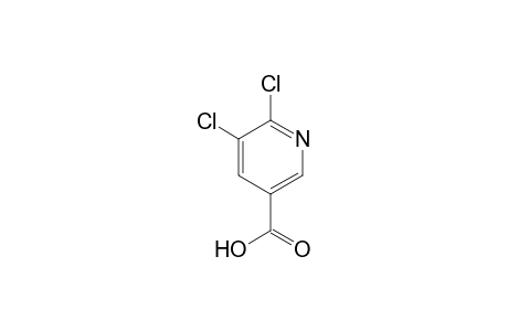 5,6-Dichloronicotinic acid