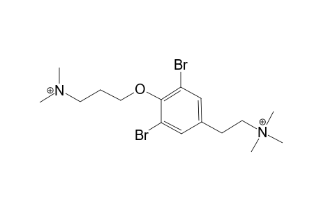 APLYSFISTULARINE