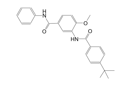 3-[(4-tert-butylbenzoyl)amino]-4-methoxy-N-phenylbenzamide