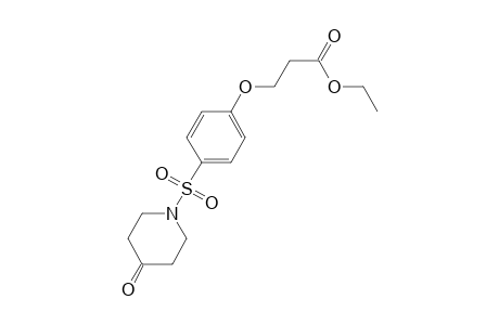 Ethyl-3-[4-(4-oxopiperidin-1-ylsulfonyl)phenoxy]propanoate