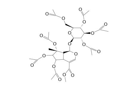 SCHISMOSIDE HEPTAACETATE