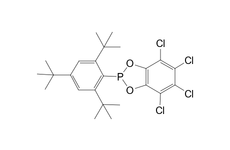 3,4,5,6-Tetrachlorobenzo-2-(2,4,6-tri-tert-butylphenyl)-1,3,2-dioxaphospholane