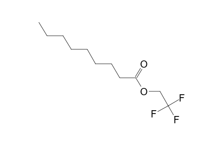 Nonanoic acid, 2,2,2- trifluoroethyl ester