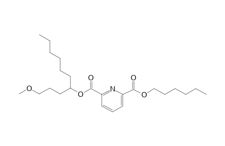 2,6-Pyridinedicarboxylic acid, hexyl 1-methoxydec-4-yl ester