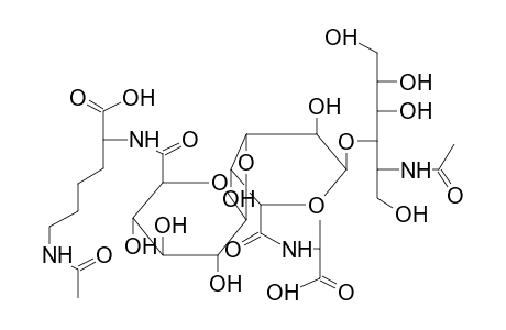 OLIGOSACCHARIDE 1 (FROM PROTEUS MIRABILIS O27)