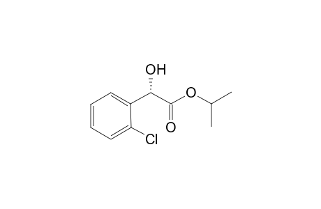 (S)-iso-Propyl-2-(2-chlorophenyl)-2-hydroxyacetate