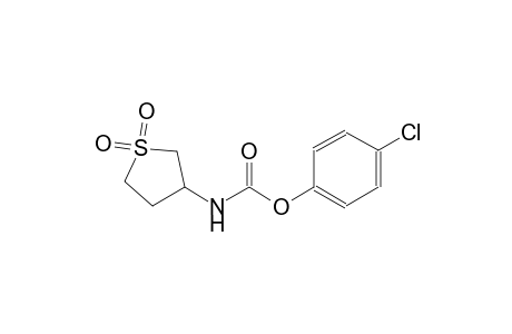 4-chlorophenyl 1,1-dioxidotetrahydro-3-thienylcarbamate