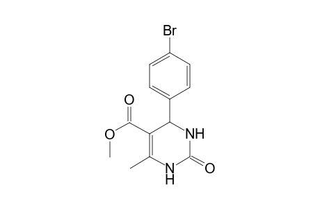 Methyl 4-(4'-bromophenyl)-6-methyl-2-oxo-1,2,3,4-tetrahydropyrimidin-5-carboxylate