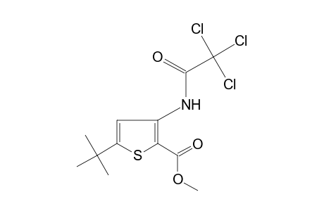 5-tert-butyl-3-(2,2,2-trichloroacetamido)-2-thiophenecarboxylic acid, methyl ester